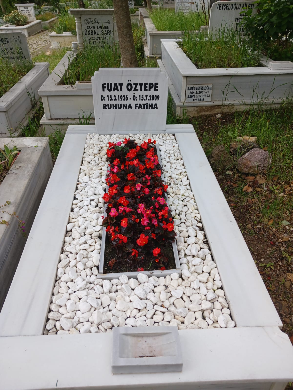 007. fotoğraf