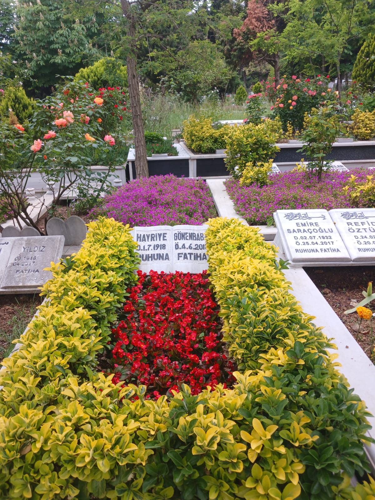 010. fotoğraf