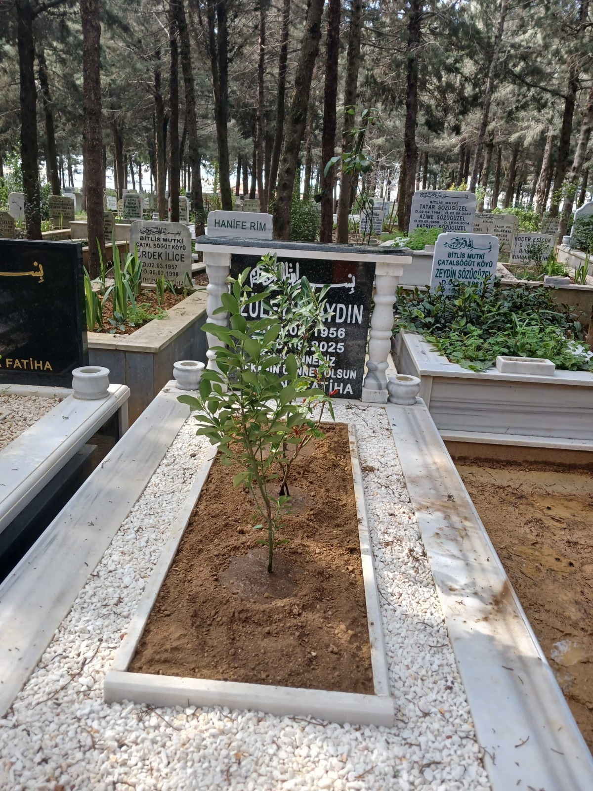 19. fotoğraf