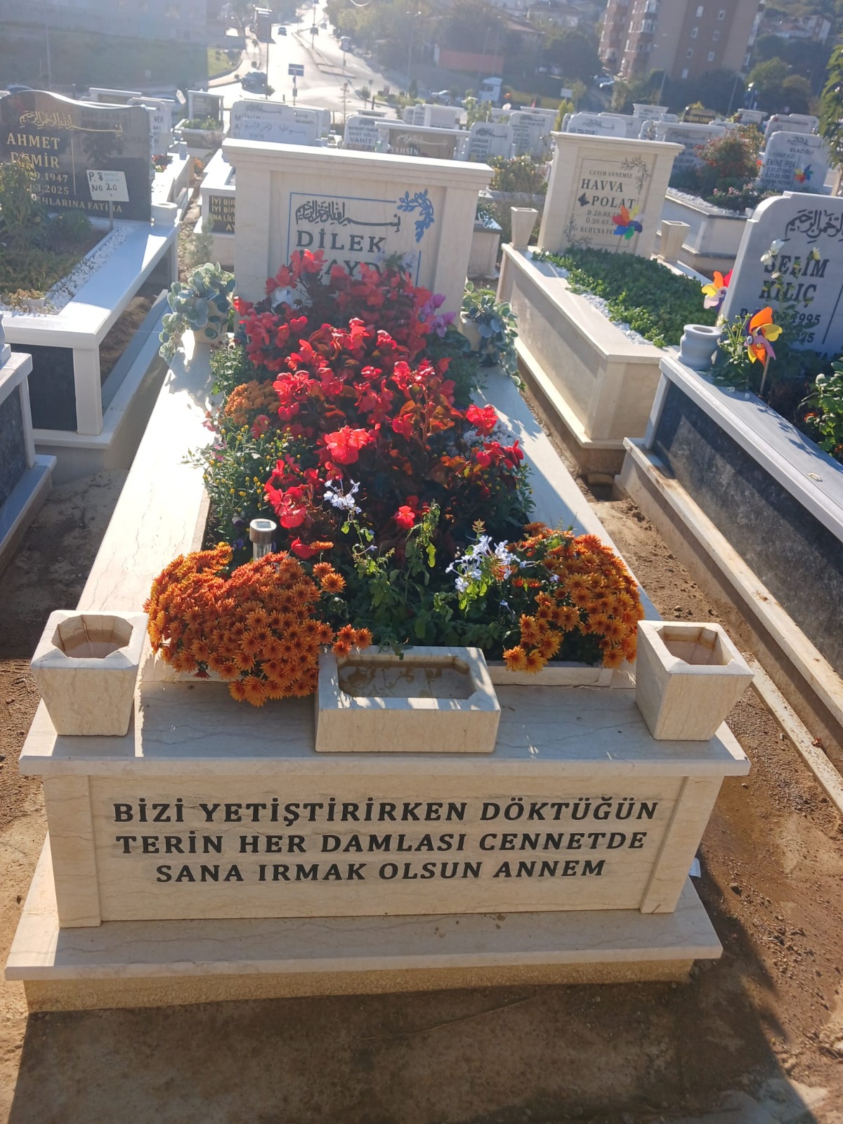 28. fotoğraf